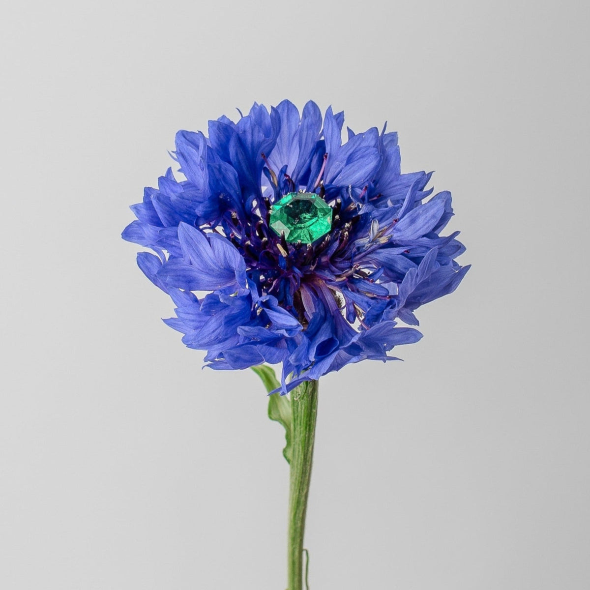 AGOVIA stone resetting service for fine jewellery in gold, silver and platinum. Studio-based in Melbourne.