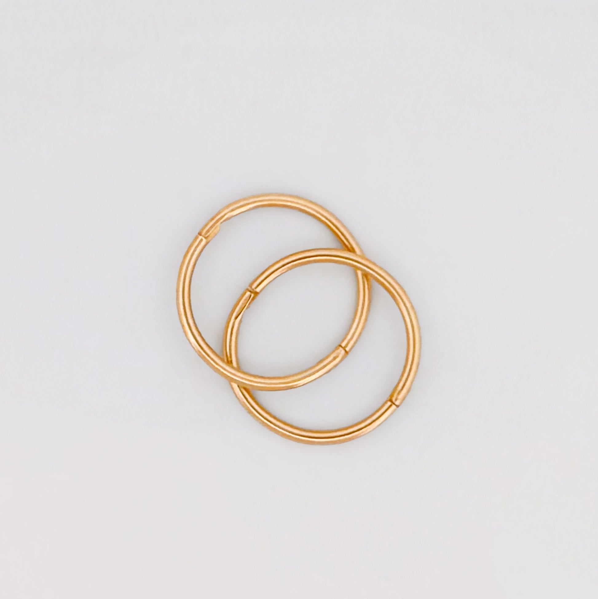 Agovia Gold Sleeper Hoop Earrings